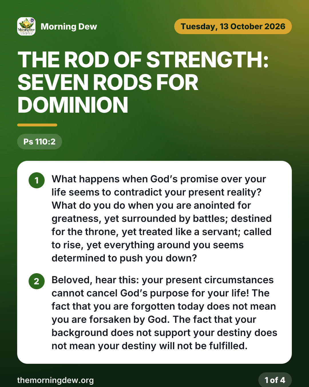 THE ROD OF STRENGTH: SEVEN RODS FOR DOMINION, picture 1 of 4