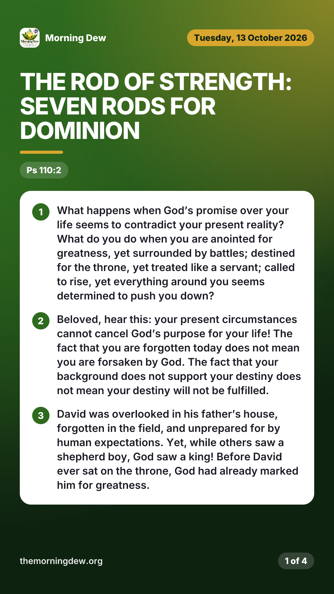 THE ROD OF STRENGTH: SEVEN RODS FOR DOMINION, picture 1 of 4