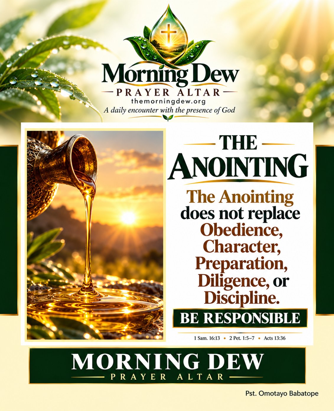 Picture for The Anointing and the Alignment